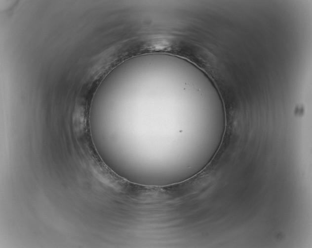 X0000112841442200908211230