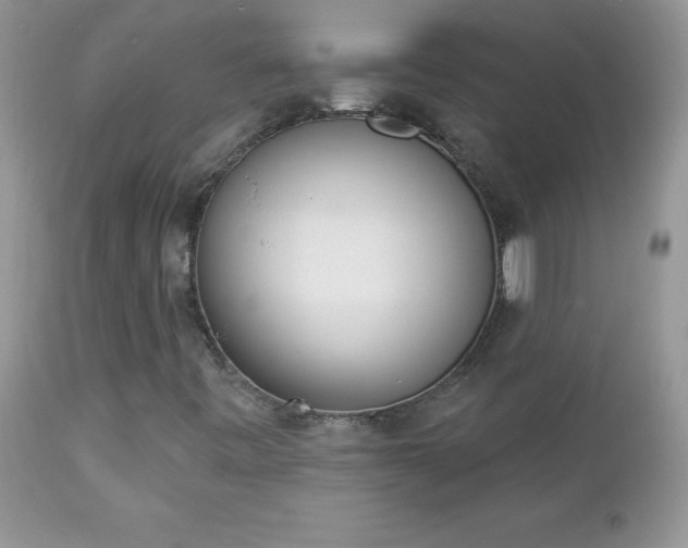 X0000112841443200908211230