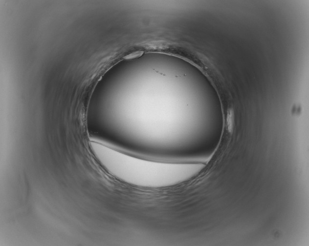 X0000112841444200908211230