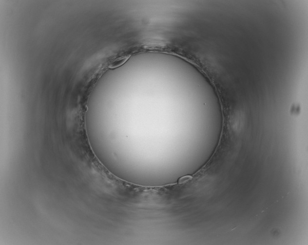 X0000112841445200908211230