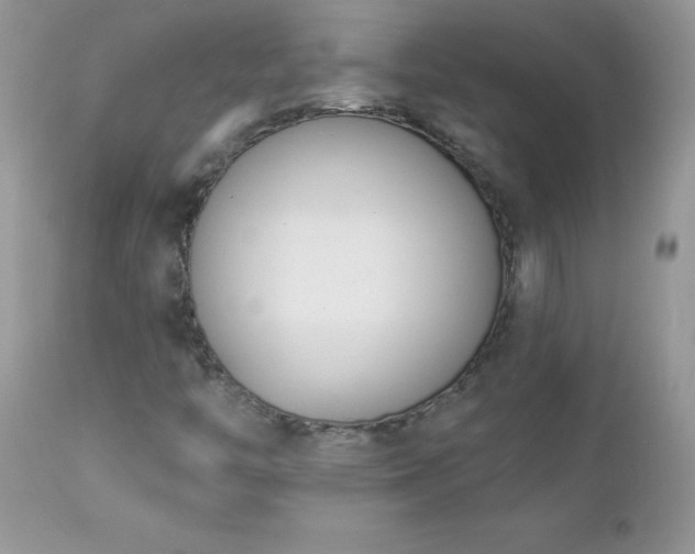 X0000112841446200908211230