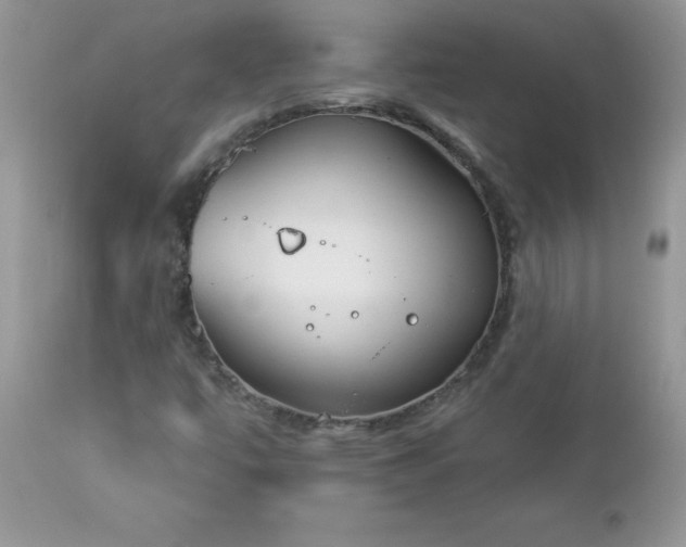 X0000112841447200908211230