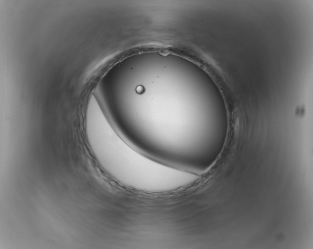 X0000112841448200908211230