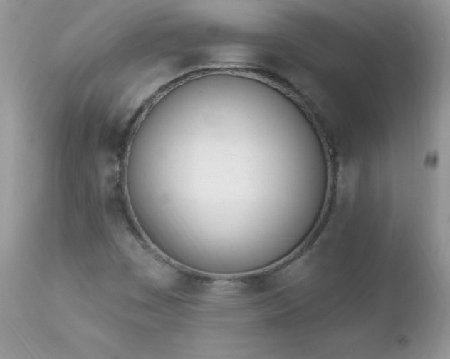 X0000112841449200908211230