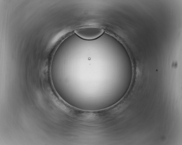 X0000112841450200908211230