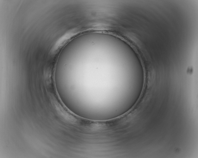 X0000112841451200908211230