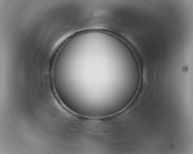 X0000112841452200908211230