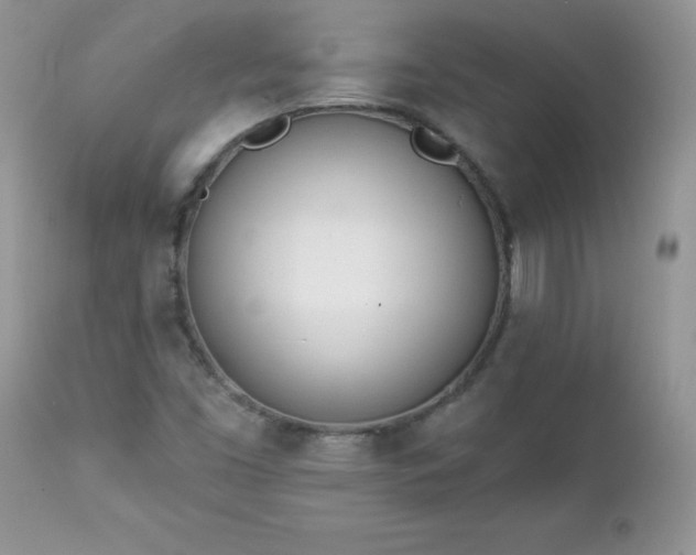 X0000112841453200908211230