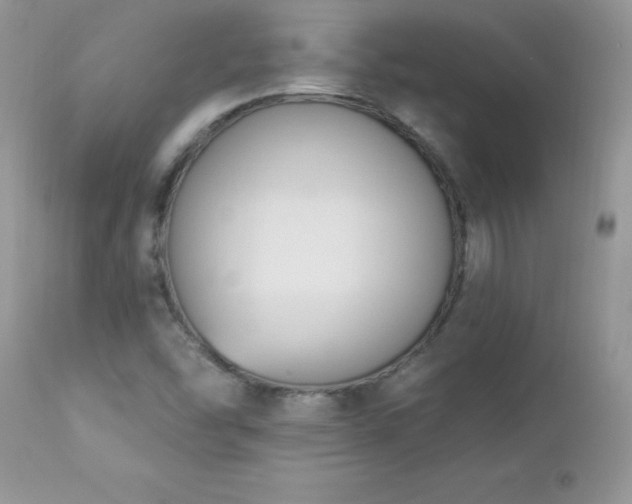 X0000112841454200908211230