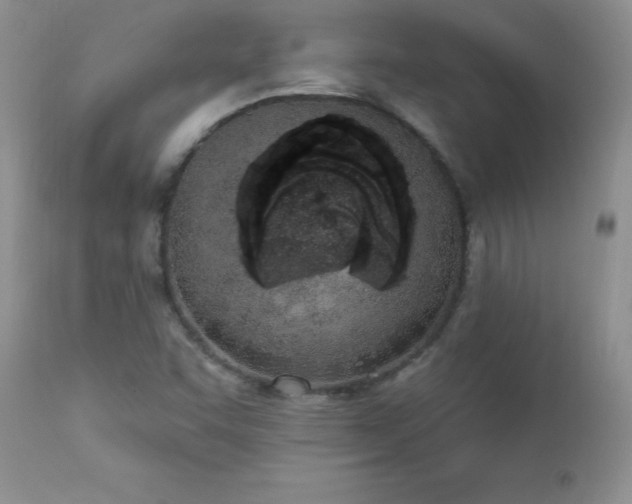 X0000112841455200908211229