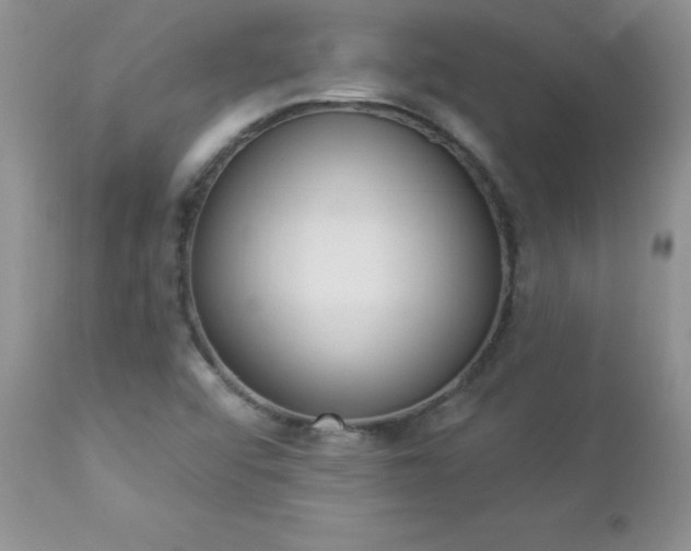 X0000112841456200908211229