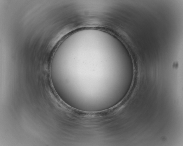 X0000112841457200908211229