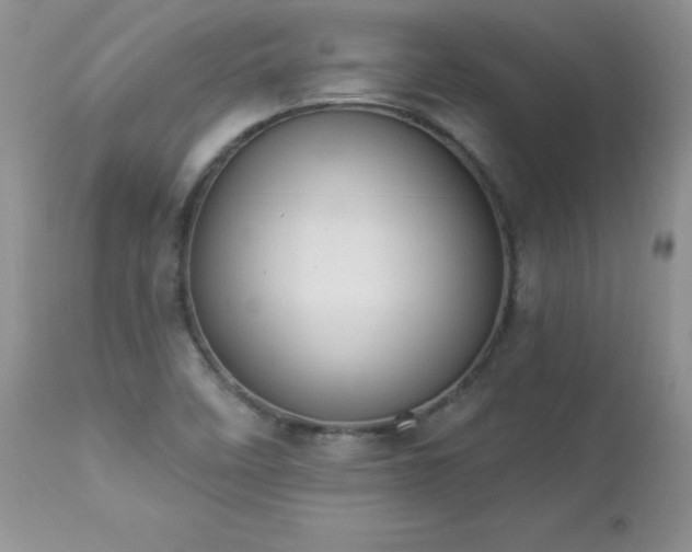 X0000112841458200908211229