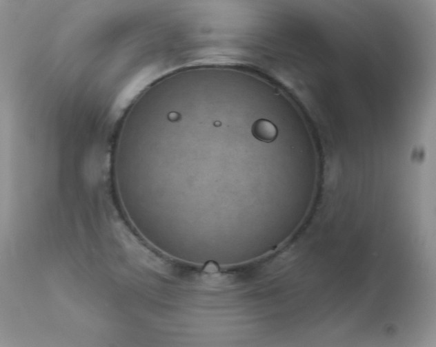 X0000112841459200908211229