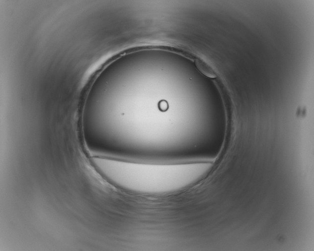 X0000112841460200908211229