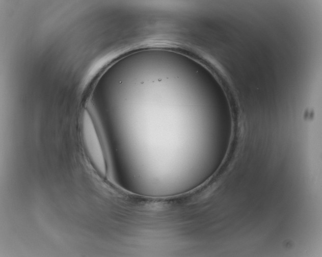 X0000112841461200908211229