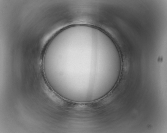 X0000112841462200908211229