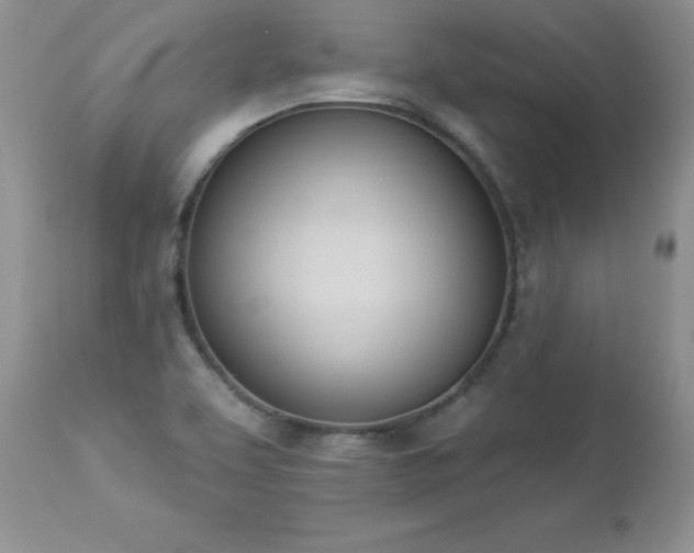 X0000112841463200908211229