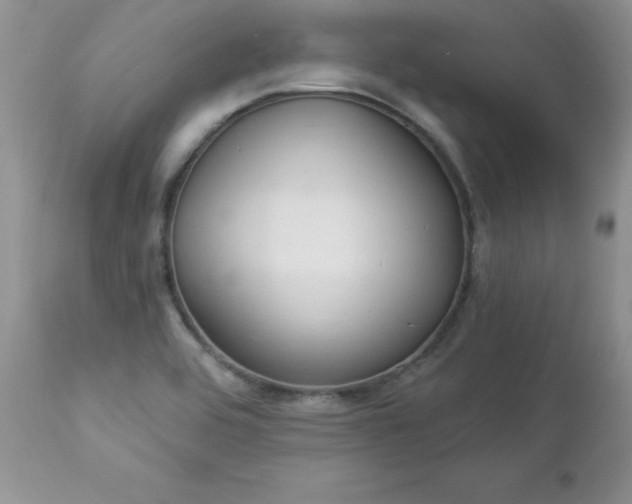 X0000112841464200908211229