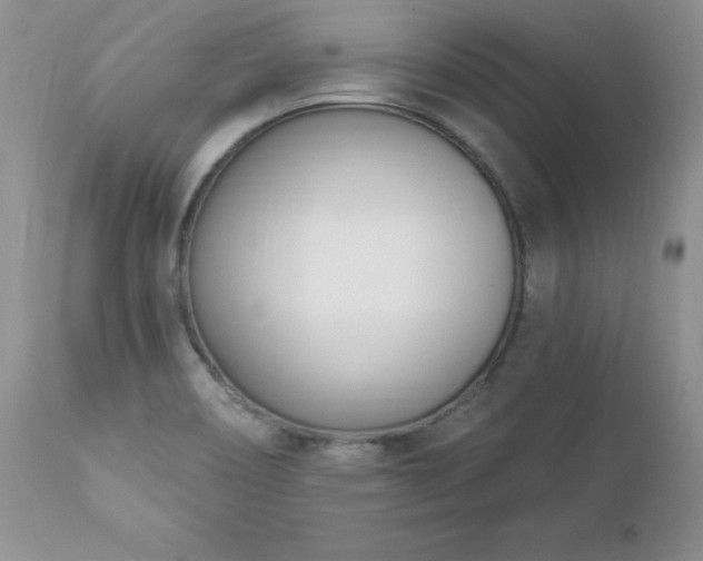 X0000112841466200908211229