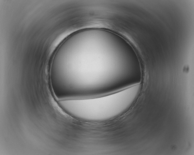 X0000112841468200908211229