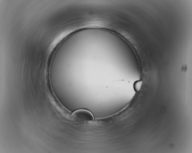 X0000112841469200908211229