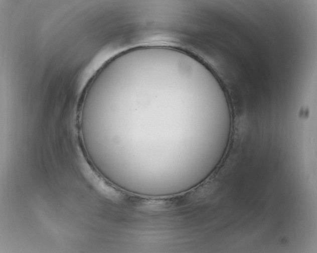 X0000112841470200908211229