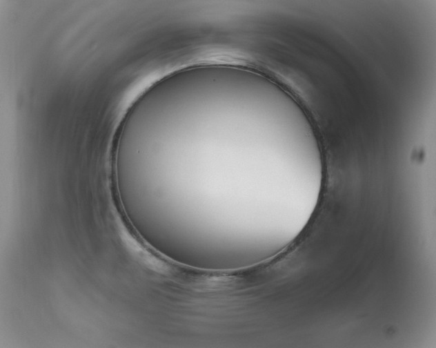 X0000112841471200908211229