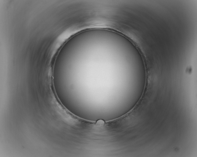 X0000112841472200908211229