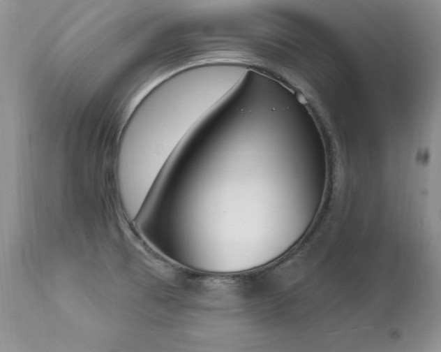 X0000112841473200908211229