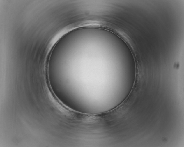 X0000112841475200908211229