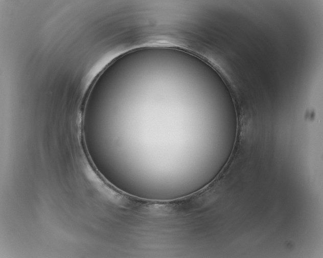 X0000112841476200908211229