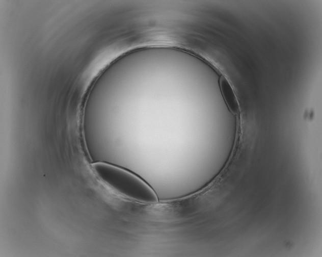 X0000112841477200908211229