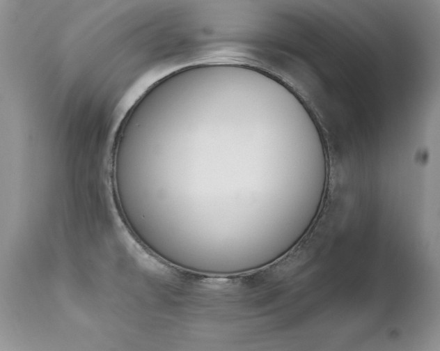 X0000112841478200908211229