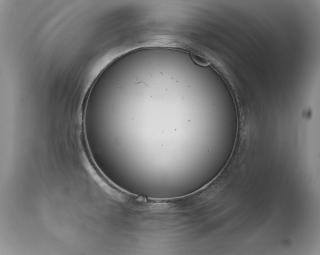 X0000112841479200908211229