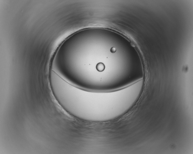 X0000112841480200908211229