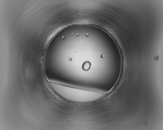 X0000112841481200908211229