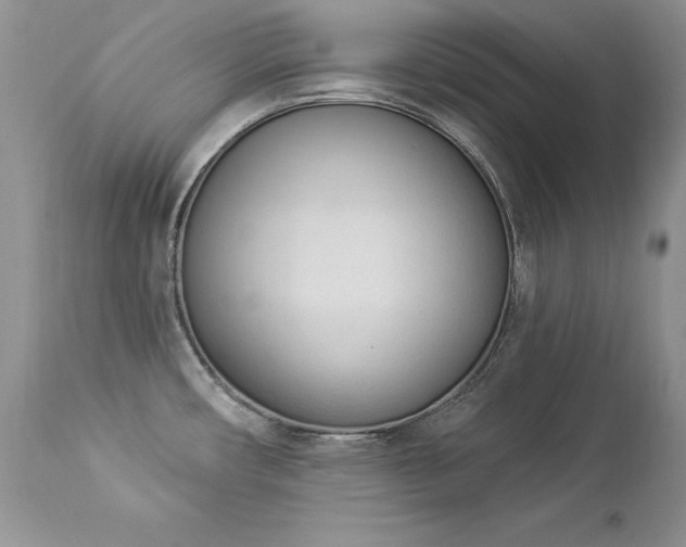 X0000112841482200908211229