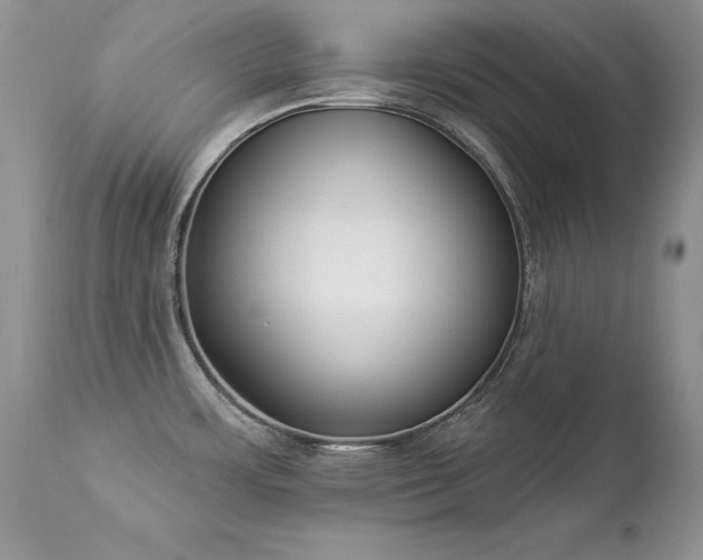 X0000112841483200908211229