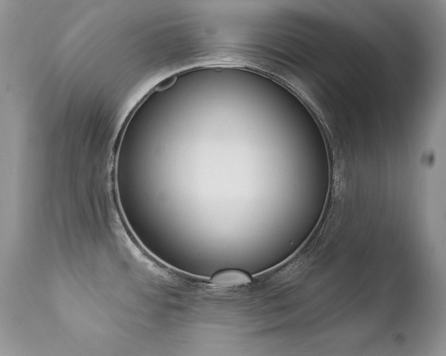 X0000112841484200908211229