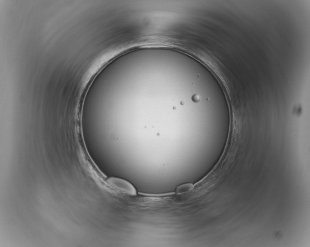 X0000112841485200908211229