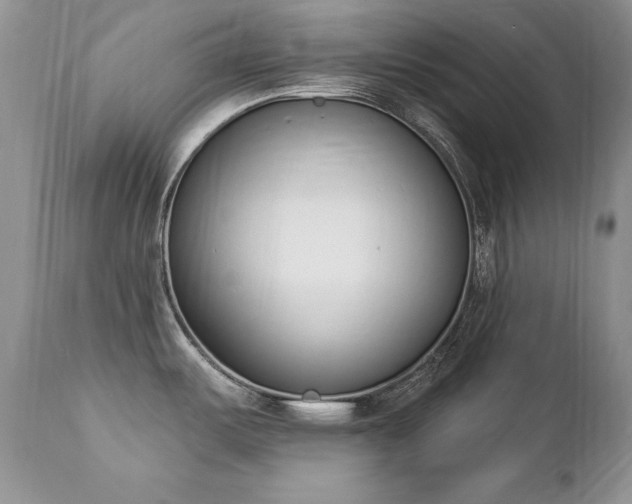 X0000112841487200908211229