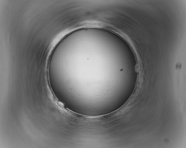 X0000112841488200908211229