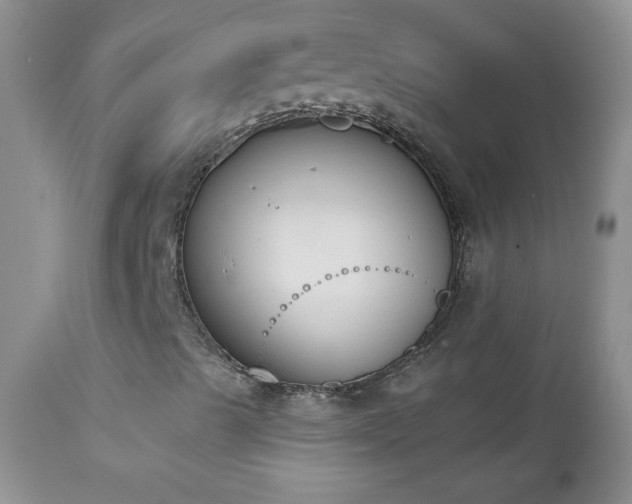 X0000112841489200908211228