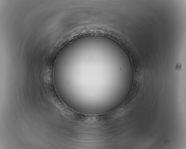 X0000112841490200908211228