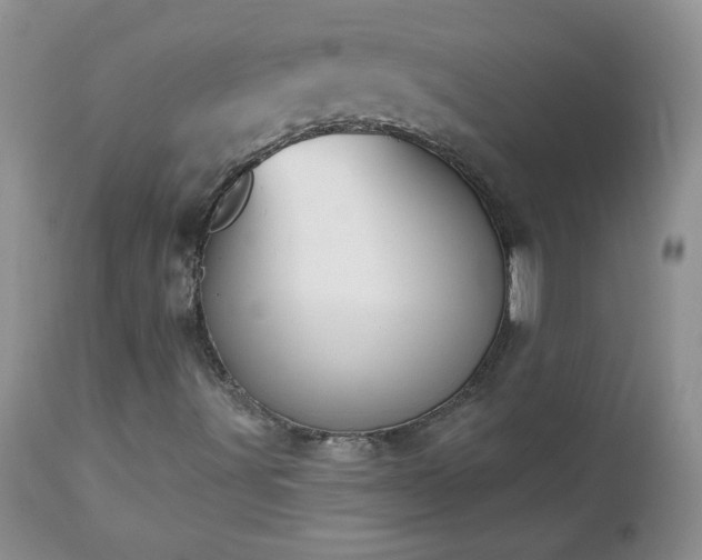 X0000112841491200908211228