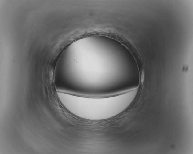 X0000112841492200908211228