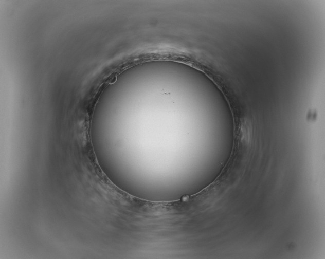 X0000112841493200908211228