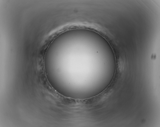 X0000112841494200908211228