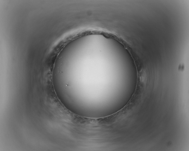 X0000112841495200908211228